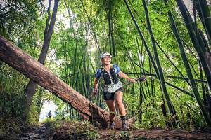 BIB: 1150
                            <button type="button" onclick="openModal(15934647)" class="btn btn-primary btn-sm float-right btn-popup" data-toggle="modal" data-target=".modal-high-quality">
                        <i class="fas fa-shopping-cart"></i> Add to Cart
                    </button>
                                            <button type="button" onclick="isThisMe(15934647, true)" class="btn btn-success btn-sm float-right btn-popup btn-isme hidden" data-toggle="tooltip" data-placement="bottom" title="นี่คือรูปของคุณใช่ไหม คลิกที่นี่เพื่อเอาเข้าอัลบั้ม">
                        <i class="fas fa-plus"></i> Add to album
                    </button>
                    <button type="button" onclick="isThisMe(15934647, false)" class="btn btn-warning btn-sm float-right btn-popup btn-isnotme hidden">
                        <i class="fas fa-ban"></i> Remove from album
                    </button>