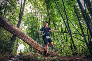 BIB: 1507
                            <button type="button" onclick="openModal(15934393)" class="btn btn-primary btn-sm float-right btn-popup" data-toggle="modal" data-target=".modal-high-quality">
                        <i class="fas fa-shopping-cart"></i> Add to Cart
                    </button>
                                            <button type="button" onclick="isThisMe(15934393, true)" class="btn btn-success btn-sm float-right btn-popup btn-isme hidden" data-toggle="tooltip" data-placement="bottom" title="นี่คือรูปของคุณใช่ไหม คลิกที่นี่เพื่อเอาเข้าอัลบั้ม">
                        <i class="fas fa-plus"></i> Add to album
                    </button>
                    <button type="button" onclick="isThisMe(15934393, false)" class="btn btn-warning btn-sm float-right btn-popup btn-isnotme hidden">
                        <i class="fas fa-ban"></i> Remove from album
                    </button>