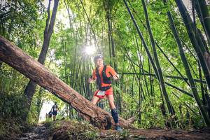 BIB: 1761
                            <button type="button" onclick="openModal(15934735)" class="btn btn-primary btn-sm float-right btn-popup" data-toggle="modal" data-target=".modal-high-quality">
                        <i class="fas fa-shopping-cart"></i> Add to Cart
                    </button>
                                            <button type="button" onclick="isThisMe(15934735, true)" class="btn btn-success btn-sm float-right btn-popup btn-isme hidden" data-toggle="tooltip" data-placement="bottom" title="นี่คือรูปของคุณใช่ไหม คลิกที่นี่เพื่อเอาเข้าอัลบั้ม">
                        <i class="fas fa-plus"></i> Add to album
                    </button>
                    <button type="button" onclick="isThisMe(15934735, false)" class="btn btn-warning btn-sm float-right btn-popup btn-isnotme hidden">
                        <i class="fas fa-ban"></i> Remove from album
                    </button>