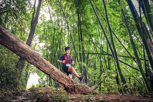 BIB: 1611
                            <button type="button" onclick="openModal(15933049)" class="btn btn-primary btn-sm float-right btn-popup" data-toggle="modal" data-target=".modal-high-quality">
                        <i class="fas fa-shopping-cart"></i> Add to Cart
                    </button>
                                            <button type="button" onclick="isThisMe(15933049, true)" class="btn btn-success btn-sm float-right btn-popup btn-isme hidden" data-toggle="tooltip" data-placement="bottom" title="นี่คือรูปของคุณใช่ไหม คลิกที่นี่เพื่อเอาเข้าอัลบั้ม">
                        <i class="fas fa-plus"></i> Add to album
                    </button>
                    <button type="button" onclick="isThisMe(15933049, false)" class="btn btn-warning btn-sm float-right btn-popup btn-isnotme hidden">
                        <i class="fas fa-ban"></i> Remove from album
                    </button>