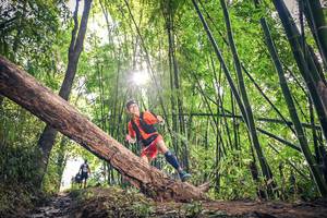 BIB: 
                            <button type="button" onclick="openModal(15934734)" class="btn btn-primary btn-sm float-right btn-popup" data-toggle="modal" data-target=".modal-high-quality">
                        <i class="fas fa-shopping-cart"></i> Add to Cart
                    </button>
                                            <button type="button" onclick="isThisMe(15934734, true)" class="btn btn-success btn-sm float-right btn-popup btn-isme hidden" data-toggle="tooltip" data-placement="bottom" title="นี่คือรูปของคุณใช่ไหม คลิกที่นี่เพื่อเอาเข้าอัลบั้ม">
                        <i class="fas fa-plus"></i> Add to album
                    </button>
                    <button type="button" onclick="isThisMe(15934734, false)" class="btn btn-warning btn-sm float-right btn-popup btn-isnotme hidden">
                        <i class="fas fa-ban"></i> Remove from album
                    </button>