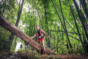 BIB: 
                            <button type="button" onclick="openModal(15933639)" class="btn btn-primary btn-sm float-right btn-popup" data-toggle="modal" data-target=".modal-high-quality">
                        <i class="fas fa-shopping-cart"></i> Add to Cart
                    </button>
                                            <button type="button" onclick="isThisMe(15933639, true)" class="btn btn-success btn-sm float-right btn-popup btn-isme hidden" data-toggle="tooltip" data-placement="bottom" title="นี่คือรูปของคุณใช่ไหม คลิกที่นี่เพื่อเอาเข้าอัลบั้ม">
                        <i class="fas fa-plus"></i> Add to album
                    </button>
                    <button type="button" onclick="isThisMe(15933639, false)" class="btn btn-warning btn-sm float-right btn-popup btn-isnotme hidden">
                        <i class="fas fa-ban"></i> Remove from album
                    </button>