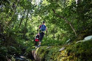 BIB: 
                            <button type="button" onclick="openModal(15940012)" class="btn btn-primary btn-sm float-right btn-popup" data-toggle="modal" data-target=".modal-high-quality">
                        <i class="fas fa-shopping-cart"></i> Add to Cart
                    </button>
                                            <button type="button" onclick="isThisMe(15940012, true)" class="btn btn-success btn-sm float-right btn-popup btn-isme hidden" data-toggle="tooltip" data-placement="bottom" title="นี่คือรูปของคุณใช่ไหม คลิกที่นี่เพื่อเอาเข้าอัลบั้ม">
                        <i class="fas fa-plus"></i> Add to album
                    </button>
                    <button type="button" onclick="isThisMe(15940012, false)" class="btn btn-warning btn-sm float-right btn-popup btn-isnotme hidden">
                        <i class="fas fa-ban"></i> Remove from album
                    </button>