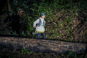 BIB: 
                            <button type="button" onclick="openModal(15937737)" class="btn btn-primary btn-sm float-right btn-popup" data-toggle="modal" data-target=".modal-high-quality">
                        <i class="fas fa-shopping-cart"></i> Add to Cart
                    </button>
                                            <button type="button" onclick="isThisMe(15937737, true)" class="btn btn-success btn-sm float-right btn-popup btn-isme hidden" data-toggle="tooltip" data-placement="bottom" title="นี่คือรูปของคุณใช่ไหม คลิกที่นี่เพื่อเอาเข้าอัลบั้ม">
                        <i class="fas fa-plus"></i> Add to album
                    </button>
                    <button type="button" onclick="isThisMe(15937737, false)" class="btn btn-warning btn-sm float-right btn-popup btn-isnotme hidden">
                        <i class="fas fa-ban"></i> Remove from album
                    </button>