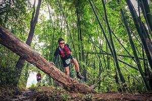 BIB: , 1646
                            <button type="button" onclick="openModal(15933640)" class="btn btn-primary btn-sm float-right btn-popup" data-toggle="modal" data-target=".modal-high-quality">
                        <i class="fas fa-shopping-cart"></i> Add to Cart
                    </button>
                                            <button type="button" onclick="isThisMe(15933640, true)" class="btn btn-success btn-sm float-right btn-popup btn-isme hidden" data-toggle="tooltip" data-placement="bottom" title="นี่คือรูปของคุณใช่ไหม คลิกที่นี่เพื่อเอาเข้าอัลบั้ม">
                        <i class="fas fa-plus"></i> Add to album
                    </button>
                    <button type="button" onclick="isThisMe(15933640, false)" class="btn btn-warning btn-sm float-right btn-popup btn-isnotme hidden">
                        <i class="fas fa-ban"></i> Remove from album
                    </button>