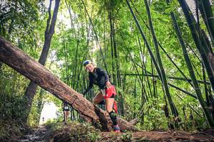 BIB: 1056
                            <button type="button" onclick="openModal(15934588)" class="btn btn-primary btn-sm float-right btn-popup" data-toggle="modal" data-target=".modal-high-quality">
                        <i class="fas fa-shopping-cart"></i> Add to Cart
                    </button>
                                            <button type="button" onclick="isThisMe(15934588, true)" class="btn btn-success btn-sm float-right btn-popup btn-isme hidden" data-toggle="tooltip" data-placement="bottom" title="นี่คือรูปของคุณใช่ไหม คลิกที่นี่เพื่อเอาเข้าอัลบั้ม">
                        <i class="fas fa-plus"></i> Add to album
                    </button>
                    <button type="button" onclick="isThisMe(15934588, false)" class="btn btn-warning btn-sm float-right btn-popup btn-isnotme hidden">
                        <i class="fas fa-ban"></i> Remove from album
                    </button>