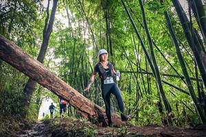 BIB: 1310
                            <button type="button" onclick="openModal(15934943)" class="btn btn-primary btn-sm float-right btn-popup" data-toggle="modal" data-target=".modal-high-quality">
                        <i class="fas fa-shopping-cart"></i> Add to Cart
                    </button>
                                            <button type="button" onclick="isThisMe(15934943, true)" class="btn btn-success btn-sm float-right btn-popup btn-isme hidden" data-toggle="tooltip" data-placement="bottom" title="นี่คือรูปของคุณใช่ไหม คลิกที่นี่เพื่อเอาเข้าอัลบั้ม">
                        <i class="fas fa-plus"></i> Add to album
                    </button>
                    <button type="button" onclick="isThisMe(15934943, false)" class="btn btn-warning btn-sm float-right btn-popup btn-isnotme hidden">
                        <i class="fas fa-ban"></i> Remove from album
                    </button>