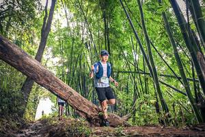 BIB: , 1049
                            <button type="button" onclick="openModal(15933002)" class="btn btn-primary btn-sm float-right btn-popup" data-toggle="modal" data-target=".modal-high-quality">
                        <i class="fas fa-shopping-cart"></i> Add to Cart
                    </button>
                                            <button type="button" onclick="isThisMe(15933002, true)" class="btn btn-success btn-sm float-right btn-popup btn-isme hidden" data-toggle="tooltip" data-placement="bottom" title="นี่คือรูปของคุณใช่ไหม คลิกที่นี่เพื่อเอาเข้าอัลบั้ม">
                        <i class="fas fa-plus"></i> Add to album
                    </button>
                    <button type="button" onclick="isThisMe(15933002, false)" class="btn btn-warning btn-sm float-right btn-popup btn-isnotme hidden">
                        <i class="fas fa-ban"></i> Remove from album
                    </button>