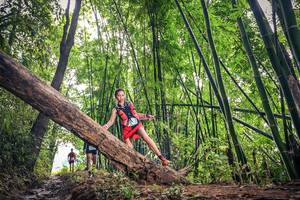 BIB: 164, 
                            <button type="button" onclick="openModal(15933636)" class="btn btn-primary btn-sm float-right btn-popup" data-toggle="modal" data-target=".modal-high-quality">
                        <i class="fas fa-shopping-cart"></i> Add to Cart
                    </button>
                                            <button type="button" onclick="isThisMe(15933636, true)" class="btn btn-success btn-sm float-right btn-popup btn-isme hidden" data-toggle="tooltip" data-placement="bottom" title="นี่คือรูปของคุณใช่ไหม คลิกที่นี่เพื่อเอาเข้าอัลบั้ม">
                        <i class="fas fa-plus"></i> Add to album
                    </button>
                    <button type="button" onclick="isThisMe(15933636, false)" class="btn btn-warning btn-sm float-right btn-popup btn-isnotme hidden">
                        <i class="fas fa-ban"></i> Remove from album
                    </button>