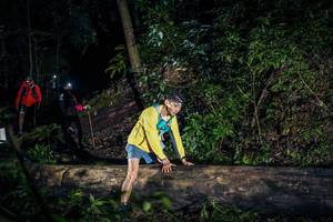 BIB: 
                            <button type="button" onclick="openModal(15937416)" class="btn btn-primary btn-sm float-right btn-popup" data-toggle="modal" data-target=".modal-high-quality">
                        <i class="fas fa-shopping-cart"></i> Add to Cart
                    </button>
                                            <button type="button" onclick="isThisMe(15937416, true)" class="btn btn-success btn-sm float-right btn-popup btn-isme hidden" data-toggle="tooltip" data-placement="bottom" title="นี่คือรูปของคุณใช่ไหม คลิกที่นี่เพื่อเอาเข้าอัลบั้ม">
                        <i class="fas fa-plus"></i> Add to album
                    </button>
                    <button type="button" onclick="isThisMe(15937416, false)" class="btn btn-warning btn-sm float-right btn-popup btn-isnotme hidden">
                        <i class="fas fa-ban"></i> Remove from album
                    </button>