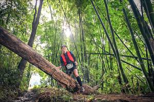 BIB: 1652
                            <button type="button" onclick="openModal(15935055)" class="btn btn-primary btn-sm float-right btn-popup" data-toggle="modal" data-target=".modal-high-quality">
                        <i class="fas fa-shopping-cart"></i> Add to Cart
                    </button>
                                            <button type="button" onclick="isThisMe(15935055, true)" class="btn btn-success btn-sm float-right btn-popup btn-isme hidden" data-toggle="tooltip" data-placement="bottom" title="นี่คือรูปของคุณใช่ไหม คลิกที่นี่เพื่อเอาเข้าอัลบั้ม">
                        <i class="fas fa-plus"></i> Add to album
                    </button>
                    <button type="button" onclick="isThisMe(15935055, false)" class="btn btn-warning btn-sm float-right btn-popup btn-isnotme hidden">
                        <i class="fas fa-ban"></i> Remove from album
                    </button>