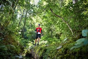 BIB: 5079
                            <button type="button" onclick="openModal(15938950)" class="btn btn-primary btn-sm float-right btn-popup" data-toggle="modal" data-target=".modal-high-quality">
                        <i class="fas fa-shopping-cart"></i> Add to Cart
                    </button>
                                            <button type="button" onclick="isThisMe(15938950, true)" class="btn btn-success btn-sm float-right btn-popup btn-isme hidden" data-toggle="tooltip" data-placement="bottom" title="นี่คือรูปของคุณใช่ไหม คลิกที่นี่เพื่อเอาเข้าอัลบั้ม">
                        <i class="fas fa-plus"></i> Add to album
                    </button>
                    <button type="button" onclick="isThisMe(15938950, false)" class="btn btn-warning btn-sm float-right btn-popup btn-isnotme hidden">
                        <i class="fas fa-ban"></i> Remove from album
                    </button>