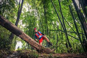 BIB: 769
                            <button type="button" onclick="openModal(15933374)" class="btn btn-primary btn-sm float-right btn-popup" data-toggle="modal" data-target=".modal-high-quality">
                        <i class="fas fa-shopping-cart"></i> Add to Cart
                    </button>
                                            <button type="button" onclick="isThisMe(15933374, true)" class="btn btn-success btn-sm float-right btn-popup btn-isme hidden" data-toggle="tooltip" data-placement="bottom" title="นี่คือรูปของคุณใช่ไหม คลิกที่นี่เพื่อเอาเข้าอัลบั้ม">
                        <i class="fas fa-plus"></i> Add to album
                    </button>
                    <button type="button" onclick="isThisMe(15933374, false)" class="btn btn-warning btn-sm float-right btn-popup btn-isnotme hidden">
                        <i class="fas fa-ban"></i> Remove from album
                    </button>