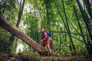 BIB: 
                            <button type="button" onclick="openModal(15933385)" class="btn btn-primary btn-sm float-right btn-popup" data-toggle="modal" data-target=".modal-high-quality">
                        <i class="fas fa-shopping-cart"></i> Add to Cart
                    </button>
                                            <button type="button" onclick="isThisMe(15933385, true)" class="btn btn-success btn-sm float-right btn-popup btn-isme hidden" data-toggle="tooltip" data-placement="bottom" title="นี่คือรูปของคุณใช่ไหม คลิกที่นี่เพื่อเอาเข้าอัลบั้ม">
                        <i class="fas fa-plus"></i> Add to album
                    </button>
                    <button type="button" onclick="isThisMe(15933385, false)" class="btn btn-warning btn-sm float-right btn-popup btn-isnotme hidden">
                        <i class="fas fa-ban"></i> Remove from album
                    </button>