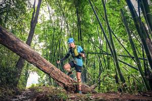 BIB: , 1062
                            <button type="button" onclick="openModal(15933107)" class="btn btn-primary btn-sm float-right btn-popup" data-toggle="modal" data-target=".modal-high-quality">
                        <i class="fas fa-shopping-cart"></i> Add to Cart
                    </button>
                                            <button type="button" onclick="isThisMe(15933107, true)" class="btn btn-success btn-sm float-right btn-popup btn-isme hidden" data-toggle="tooltip" data-placement="bottom" title="นี่คือรูปของคุณใช่ไหม คลิกที่นี่เพื่อเอาเข้าอัลบั้ม">
                        <i class="fas fa-plus"></i> Add to album
                    </button>
                    <button type="button" onclick="isThisMe(15933107, false)" class="btn btn-warning btn-sm float-right btn-popup btn-isnotme hidden">
                        <i class="fas fa-ban"></i> Remove from album
                    </button>