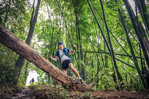 BIB: 1428
                            <button type="button" onclick="openModal(15933631)" class="btn btn-primary btn-sm float-right btn-popup" data-toggle="modal" data-target=".modal-high-quality">
                        <i class="fas fa-shopping-cart"></i> Add to Cart
                    </button>
                                            <button type="button" onclick="isThisMe(15933631, true)" class="btn btn-success btn-sm float-right btn-popup btn-isme hidden" data-toggle="tooltip" data-placement="bottom" title="นี่คือรูปของคุณใช่ไหม คลิกที่นี่เพื่อเอาเข้าอัลบั้ม">
                        <i class="fas fa-plus"></i> Add to album
                    </button>
                    <button type="button" onclick="isThisMe(15933631, false)" class="btn btn-warning btn-sm float-right btn-popup btn-isnotme hidden">
                        <i class="fas fa-ban"></i> Remove from album
                    </button>