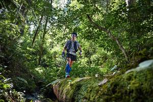 BIB: 162
                            <button type="button" onclick="openModal(15940278)" class="btn btn-primary btn-sm float-right btn-popup" data-toggle="modal" data-target=".modal-high-quality">
                        <i class="fas fa-shopping-cart"></i> Add to Cart
                    </button>
                                            <button type="button" onclick="isThisMe(15940278, true)" class="btn btn-success btn-sm float-right btn-popup btn-isme hidden" data-toggle="tooltip" data-placement="bottom" title="นี่คือรูปของคุณใช่ไหม คลิกที่นี่เพื่อเอาเข้าอัลบั้ม">
                        <i class="fas fa-plus"></i> Add to album
                    </button>
                    <button type="button" onclick="isThisMe(15940278, false)" class="btn btn-warning btn-sm float-right btn-popup btn-isnotme hidden">
                        <i class="fas fa-ban"></i> Remove from album
                    </button>