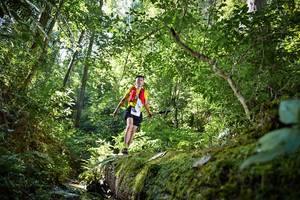 BIB: 
                            <button type="button" onclick="openModal(15939100)" class="btn btn-primary btn-sm float-right btn-popup" data-toggle="modal" data-target=".modal-high-quality">
                        <i class="fas fa-shopping-cart"></i> Add to Cart
                    </button>
                                            <button type="button" onclick="isThisMe(15939100, true)" class="btn btn-success btn-sm float-right btn-popup btn-isme hidden" data-toggle="tooltip" data-placement="bottom" title="นี่คือรูปของคุณใช่ไหม คลิกที่นี่เพื่อเอาเข้าอัลบั้ม">
                        <i class="fas fa-plus"></i> Add to album
                    </button>
                    <button type="button" onclick="isThisMe(15939100, false)" class="btn btn-warning btn-sm float-right btn-popup btn-isnotme hidden">
                        <i class="fas fa-ban"></i> Remove from album
                    </button>