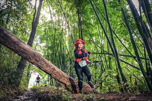 BIB: 1459
                            <button type="button" onclick="openModal(15934474)" class="btn btn-primary btn-sm float-right btn-popup" data-toggle="modal" data-target=".modal-high-quality">
                        <i class="fas fa-shopping-cart"></i> Add to Cart
                    </button>
                                            <button type="button" onclick="isThisMe(15934474, true)" class="btn btn-success btn-sm float-right btn-popup btn-isme hidden" data-toggle="tooltip" data-placement="bottom" title="นี่คือรูปของคุณใช่ไหม คลิกที่นี่เพื่อเอาเข้าอัลบั้ม">
                        <i class="fas fa-plus"></i> Add to album
                    </button>
                    <button type="button" onclick="isThisMe(15934474, false)" class="btn btn-warning btn-sm float-right btn-popup btn-isnotme hidden">
                        <i class="fas fa-ban"></i> Remove from album
                    </button>