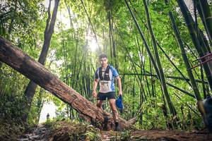 BIB: 1662, 
                            <button type="button" onclick="openModal(15935051)" class="btn btn-primary btn-sm float-right btn-popup" data-toggle="modal" data-target=".modal-high-quality">
                        <i class="fas fa-shopping-cart"></i> Add to Cart
                    </button>
                                            <button type="button" onclick="isThisMe(15935051, true)" class="btn btn-success btn-sm float-right btn-popup btn-isme hidden" data-toggle="tooltip" data-placement="bottom" title="นี่คือรูปของคุณใช่ไหม คลิกที่นี่เพื่อเอาเข้าอัลบั้ม">
                        <i class="fas fa-plus"></i> Add to album
                    </button>
                    <button type="button" onclick="isThisMe(15935051, false)" class="btn btn-warning btn-sm float-right btn-popup btn-isnotme hidden">
                        <i class="fas fa-ban"></i> Remove from album
                    </button>