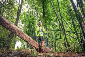 BIB: 1763
                            <button type="button" onclick="openModal(15932490)" class="btn btn-primary btn-sm float-right btn-popup" data-toggle="modal" data-target=".modal-high-quality">
                        <i class="fas fa-shopping-cart"></i> Add to Cart
                    </button>
                                            <button type="button" onclick="isThisMe(15932490, true)" class="btn btn-success btn-sm float-right btn-popup btn-isme hidden" data-toggle="tooltip" data-placement="bottom" title="นี่คือรูปของคุณใช่ไหม คลิกที่นี่เพื่อเอาเข้าอัลบั้ม">
                        <i class="fas fa-plus"></i> Add to album
                    </button>
                    <button type="button" onclick="isThisMe(15932490, false)" class="btn btn-warning btn-sm float-right btn-popup btn-isnotme hidden">
                        <i class="fas fa-ban"></i> Remove from album
                    </button>