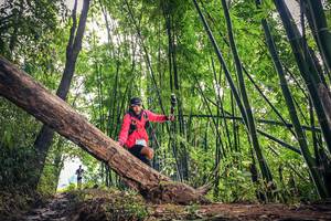 BIB: 1631
                            <button type="button" onclick="openModal(15933556)" class="btn btn-primary btn-sm float-right btn-popup" data-toggle="modal" data-target=".modal-high-quality">
                        <i class="fas fa-shopping-cart"></i> Add to Cart
                    </button>
                                            <button type="button" onclick="isThisMe(15933556, true)" class="btn btn-success btn-sm float-right btn-popup btn-isme hidden" data-toggle="tooltip" data-placement="bottom" title="นี่คือรูปของคุณใช่ไหม คลิกที่นี่เพื่อเอาเข้าอัลบั้ม">
                        <i class="fas fa-plus"></i> Add to album
                    </button>
                    <button type="button" onclick="isThisMe(15933556, false)" class="btn btn-warning btn-sm float-right btn-popup btn-isnotme hidden">
                        <i class="fas fa-ban"></i> Remove from album
                    </button>