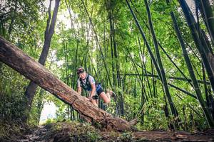 BIB: 107
                            <button type="button" onclick="openModal(15934408)" class="btn btn-primary btn-sm float-right btn-popup" data-toggle="modal" data-target=".modal-high-quality">
                        <i class="fas fa-shopping-cart"></i> Add to Cart
                    </button>
                                            <button type="button" onclick="isThisMe(15934408, true)" class="btn btn-success btn-sm float-right btn-popup btn-isme hidden" data-toggle="tooltip" data-placement="bottom" title="นี่คือรูปของคุณใช่ไหม คลิกที่นี่เพื่อเอาเข้าอัลบั้ม">
                        <i class="fas fa-plus"></i> Add to album
                    </button>
                    <button type="button" onclick="isThisMe(15934408, false)" class="btn btn-warning btn-sm float-right btn-popup btn-isnotme hidden">
                        <i class="fas fa-ban"></i> Remove from album
                    </button>