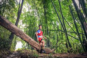 BIB: 135
                            <button type="button" onclick="openModal(15932906)" class="btn btn-primary btn-sm float-right btn-popup" data-toggle="modal" data-target=".modal-high-quality">
                        <i class="fas fa-shopping-cart"></i> Add to Cart
                    </button>
                                            <button type="button" onclick="isThisMe(15932906, true)" class="btn btn-success btn-sm float-right btn-popup btn-isme hidden" data-toggle="tooltip" data-placement="bottom" title="นี่คือรูปของคุณใช่ไหม คลิกที่นี่เพื่อเอาเข้าอัลบั้ม">
                        <i class="fas fa-plus"></i> Add to album
                    </button>
                    <button type="button" onclick="isThisMe(15932906, false)" class="btn btn-warning btn-sm float-right btn-popup btn-isnotme hidden">
                        <i class="fas fa-ban"></i> Remove from album
                    </button>