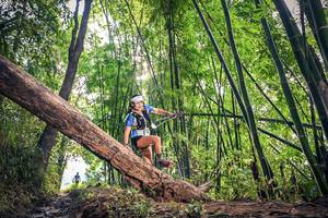 BIB: 1150, 150
                            <button type="button" onclick="openModal(15934641)" class="btn btn-primary btn-sm float-right btn-popup" data-toggle="modal" data-target=".modal-high-quality">
                        <i class="fas fa-shopping-cart"></i> Add to Cart
                    </button>
                                            <button type="button" onclick="isThisMe(15934641, true)" class="btn btn-success btn-sm float-right btn-popup btn-isme hidden" data-toggle="tooltip" data-placement="bottom" title="นี่คือรูปของคุณใช่ไหม คลิกที่นี่เพื่อเอาเข้าอัลบั้ม">
                        <i class="fas fa-plus"></i> Add to album
                    </button>
                    <button type="button" onclick="isThisMe(15934641, false)" class="btn btn-warning btn-sm float-right btn-popup btn-isnotme hidden">
                        <i class="fas fa-ban"></i> Remove from album
                    </button>