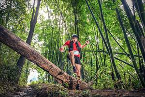 BIB: 658
                            <button type="button" onclick="openModal(15934482)" class="btn btn-primary btn-sm float-right btn-popup" data-toggle="modal" data-target=".modal-high-quality">
                        <i class="fas fa-shopping-cart"></i> Add to Cart
                    </button>
                                            <button type="button" onclick="isThisMe(15934482, true)" class="btn btn-success btn-sm float-right btn-popup btn-isme hidden" data-toggle="tooltip" data-placement="bottom" title="นี่คือรูปของคุณใช่ไหม คลิกที่นี่เพื่อเอาเข้าอัลบั้ม">
                        <i class="fas fa-plus"></i> Add to album
                    </button>
                    <button type="button" onclick="isThisMe(15934482, false)" class="btn btn-warning btn-sm float-right btn-popup btn-isnotme hidden">
                        <i class="fas fa-ban"></i> Remove from album
                    </button>