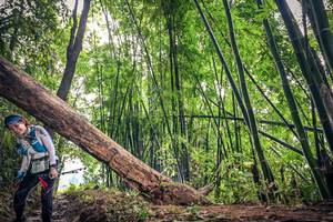 BIB: 1162
                            <button type="button" onclick="openModal(15933627)" class="btn btn-primary btn-sm float-right btn-popup" data-toggle="modal" data-target=".modal-high-quality">
                        <i class="fas fa-shopping-cart"></i> Add to Cart
                    </button>
                                            <button type="button" onclick="isThisMe(15933627, true)" class="btn btn-success btn-sm float-right btn-popup btn-isme hidden" data-toggle="tooltip" data-placement="bottom" title="นี่คือรูปของคุณใช่ไหม คลิกที่นี่เพื่อเอาเข้าอัลบั้ม">
                        <i class="fas fa-plus"></i> Add to album
                    </button>
                    <button type="button" onclick="isThisMe(15933627, false)" class="btn btn-warning btn-sm float-right btn-popup btn-isnotme hidden">
                        <i class="fas fa-ban"></i> Remove from album
                    </button>