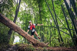 BIB: 1690
                            <button type="button" onclick="openModal(15933539)" class="btn btn-primary btn-sm float-right btn-popup" data-toggle="modal" data-target=".modal-high-quality">
                        <i class="fas fa-shopping-cart"></i> Add to Cart
                    </button>
                                            <button type="button" onclick="isThisMe(15933539, true)" class="btn btn-success btn-sm float-right btn-popup btn-isme hidden" data-toggle="tooltip" data-placement="bottom" title="นี่คือรูปของคุณใช่ไหม คลิกที่นี่เพื่อเอาเข้าอัลบั้ม">
                        <i class="fas fa-plus"></i> Add to album
                    </button>
                    <button type="button" onclick="isThisMe(15933539, false)" class="btn btn-warning btn-sm float-right btn-popup btn-isnotme hidden">
                        <i class="fas fa-ban"></i> Remove from album
                    </button>