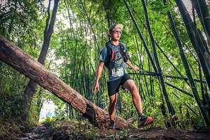 BIB: 1205
                            <button type="button" onclick="openModal(15934898)" class="btn btn-primary btn-sm float-right btn-popup" data-toggle="modal" data-target=".modal-high-quality">
                        <i class="fas fa-shopping-cart"></i> Add to Cart
                    </button>
                                            <button type="button" onclick="isThisMe(15934898, true)" class="btn btn-success btn-sm float-right btn-popup btn-isme hidden" data-toggle="tooltip" data-placement="bottom" title="นี่คือรูปของคุณใช่ไหม คลิกที่นี่เพื่อเอาเข้าอัลบั้ม">
                        <i class="fas fa-plus"></i> Add to album
                    </button>
                    <button type="button" onclick="isThisMe(15934898, false)" class="btn btn-warning btn-sm float-right btn-popup btn-isnotme hidden">
                        <i class="fas fa-ban"></i> Remove from album
                    </button>