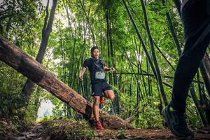 BIB: 1335
                            <button type="button" onclick="openModal(15933429)" class="btn btn-primary btn-sm float-right btn-popup" data-toggle="modal" data-target=".modal-high-quality">
                        <i class="fas fa-shopping-cart"></i> Add to Cart
                    </button>
                                            <button type="button" onclick="isThisMe(15933429, true)" class="btn btn-success btn-sm float-right btn-popup btn-isme hidden" data-toggle="tooltip" data-placement="bottom" title="นี่คือรูปของคุณใช่ไหม คลิกที่นี่เพื่อเอาเข้าอัลบั้ม">
                        <i class="fas fa-plus"></i> Add to album
                    </button>
                    <button type="button" onclick="isThisMe(15933429, false)" class="btn btn-warning btn-sm float-right btn-popup btn-isnotme hidden">
                        <i class="fas fa-ban"></i> Remove from album
                    </button>