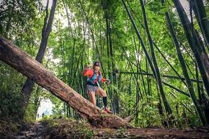 BIB: 
                            <button type="button" onclick="openModal(15933509)" class="btn btn-primary btn-sm float-right btn-popup" data-toggle="modal" data-target=".modal-high-quality">
                        <i class="fas fa-shopping-cart"></i> Add to Cart
                    </button>
                                            <button type="button" onclick="isThisMe(15933509, true)" class="btn btn-success btn-sm float-right btn-popup btn-isme hidden" data-toggle="tooltip" data-placement="bottom" title="นี่คือรูปของคุณใช่ไหม คลิกที่นี่เพื่อเอาเข้าอัลบั้ม">
                        <i class="fas fa-plus"></i> Add to album
                    </button>
                    <button type="button" onclick="isThisMe(15933509, false)" class="btn btn-warning btn-sm float-right btn-popup btn-isnotme hidden">
                        <i class="fas fa-ban"></i> Remove from album
                    </button>