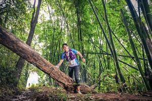 BIB: 
                            <button type="button" onclick="openModal(15933116)" class="btn btn-primary btn-sm float-right btn-popup" data-toggle="modal" data-target=".modal-high-quality">
                        <i class="fas fa-shopping-cart"></i> Add to Cart
                    </button>
                                            <button type="button" onclick="isThisMe(15933116, true)" class="btn btn-success btn-sm float-right btn-popup btn-isme hidden" data-toggle="tooltip" data-placement="bottom" title="นี่คือรูปของคุณใช่ไหม คลิกที่นี่เพื่อเอาเข้าอัลบั้ม">
                        <i class="fas fa-plus"></i> Add to album
                    </button>
                    <button type="button" onclick="isThisMe(15933116, false)" class="btn btn-warning btn-sm float-right btn-popup btn-isnotme hidden">
                        <i class="fas fa-ban"></i> Remove from album
                    </button>