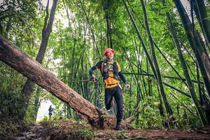 BIB: 
                            <button type="button" onclick="openModal(15933100)" class="btn btn-primary btn-sm float-right btn-popup" data-toggle="modal" data-target=".modal-high-quality">
                        <i class="fas fa-shopping-cart"></i> Add to Cart
                    </button>
                                            <button type="button" onclick="isThisMe(15933100, true)" class="btn btn-success btn-sm float-right btn-popup btn-isme hidden" data-toggle="tooltip" data-placement="bottom" title="นี่คือรูปของคุณใช่ไหม คลิกที่นี่เพื่อเอาเข้าอัลบั้ม">
                        <i class="fas fa-plus"></i> Add to album
                    </button>
                    <button type="button" onclick="isThisMe(15933100, false)" class="btn btn-warning btn-sm float-right btn-popup btn-isnotme hidden">
                        <i class="fas fa-ban"></i> Remove from album
                    </button>