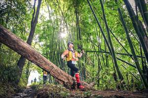 BIB: 1126, 1146
                            <button type="button" onclick="openModal(15934765)" class="btn btn-primary btn-sm float-right btn-popup" data-toggle="modal" data-target=".modal-high-quality">
                        <i class="fas fa-shopping-cart"></i> Add to Cart
                    </button>
                                            <button type="button" onclick="isThisMe(15934765, true)" class="btn btn-success btn-sm float-right btn-popup btn-isme hidden" data-toggle="tooltip" data-placement="bottom" title="นี่คือรูปของคุณใช่ไหม คลิกที่นี่เพื่อเอาเข้าอัลบั้ม">
                        <i class="fas fa-plus"></i> Add to album
                    </button>
                    <button type="button" onclick="isThisMe(15934765, false)" class="btn btn-warning btn-sm float-right btn-popup btn-isnotme hidden">
                        <i class="fas fa-ban"></i> Remove from album
                    </button>