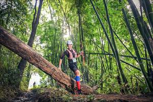 BIB: 1617
                            <button type="button" onclick="openModal(15934812)" class="btn btn-primary btn-sm float-right btn-popup" data-toggle="modal" data-target=".modal-high-quality">
                        <i class="fas fa-shopping-cart"></i> Add to Cart
                    </button>
                                            <button type="button" onclick="isThisMe(15934812, true)" class="btn btn-success btn-sm float-right btn-popup btn-isme hidden" data-toggle="tooltip" data-placement="bottom" title="นี่คือรูปของคุณใช่ไหม คลิกที่นี่เพื่อเอาเข้าอัลบั้ม">
                        <i class="fas fa-plus"></i> Add to album
                    </button>
                    <button type="button" onclick="isThisMe(15934812, false)" class="btn btn-warning btn-sm float-right btn-popup btn-isnotme hidden">
                        <i class="fas fa-ban"></i> Remove from album
                    </button>