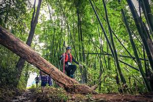 BIB: 1400
                            <button type="button" onclick="openModal(15933597)" class="btn btn-primary btn-sm float-right btn-popup" data-toggle="modal" data-target=".modal-high-quality">
                        <i class="fas fa-shopping-cart"></i> Add to Cart
                    </button>
                                            <button type="button" onclick="isThisMe(15933597, true)" class="btn btn-success btn-sm float-right btn-popup btn-isme hidden" data-toggle="tooltip" data-placement="bottom" title="นี่คือรูปของคุณใช่ไหม คลิกที่นี่เพื่อเอาเข้าอัลบั้ม">
                        <i class="fas fa-plus"></i> Add to album
                    </button>
                    <button type="button" onclick="isThisMe(15933597, false)" class="btn btn-warning btn-sm float-right btn-popup btn-isnotme hidden">
                        <i class="fas fa-ban"></i> Remove from album
                    </button>