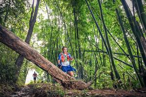 BIB: 1027
                            <button type="button" onclick="openModal(15932864)" class="btn btn-primary btn-sm float-right btn-popup" data-toggle="modal" data-target=".modal-high-quality">
                        <i class="fas fa-shopping-cart"></i> Add to Cart
                    </button>
                                            <button type="button" onclick="isThisMe(15932864, true)" class="btn btn-success btn-sm float-right btn-popup btn-isme hidden" data-toggle="tooltip" data-placement="bottom" title="นี่คือรูปของคุณใช่ไหม คลิกที่นี่เพื่อเอาเข้าอัลบั้ม">
                        <i class="fas fa-plus"></i> Add to album
                    </button>
                    <button type="button" onclick="isThisMe(15932864, false)" class="btn btn-warning btn-sm float-right btn-popup btn-isnotme hidden">
                        <i class="fas fa-ban"></i> Remove from album
                    </button>