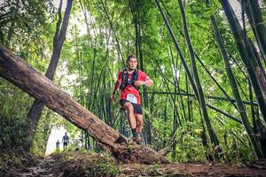 BIB: 1219
                            <button type="button" onclick="openModal(15932996)" class="btn btn-primary btn-sm float-right btn-popup" data-toggle="modal" data-target=".modal-high-quality">
                        <i class="fas fa-shopping-cart"></i> Add to Cart
                    </button>
                                            <button type="button" onclick="isThisMe(15932996, true)" class="btn btn-success btn-sm float-right btn-popup btn-isme hidden" data-toggle="tooltip" data-placement="bottom" title="นี่คือรูปของคุณใช่ไหม คลิกที่นี่เพื่อเอาเข้าอัลบั้ม">
                        <i class="fas fa-plus"></i> Add to album
                    </button>
                    <button type="button" onclick="isThisMe(15932996, false)" class="btn btn-warning btn-sm float-right btn-popup btn-isnotme hidden">
                        <i class="fas fa-ban"></i> Remove from album
                    </button>