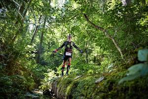 BIB: 5096
                            <button type="button" onclick="openModal(15939120)" class="btn btn-primary btn-sm float-right btn-popup" data-toggle="modal" data-target=".modal-high-quality">
                        <i class="fas fa-shopping-cart"></i> Add to Cart
                    </button>
                                            <button type="button" onclick="isThisMe(15939120, true)" class="btn btn-success btn-sm float-right btn-popup btn-isme hidden" data-toggle="tooltip" data-placement="bottom" title="นี่คือรูปของคุณใช่ไหม คลิกที่นี่เพื่อเอาเข้าอัลบั้ม">
                        <i class="fas fa-plus"></i> Add to album
                    </button>
                    <button type="button" onclick="isThisMe(15939120, false)" class="btn btn-warning btn-sm float-right btn-popup btn-isnotme hidden">
                        <i class="fas fa-ban"></i> Remove from album
                    </button>