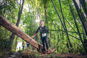 BIB: , 1148
                            <button type="button" onclick="openModal(15934758)" class="btn btn-primary btn-sm float-right btn-popup" data-toggle="modal" data-target=".modal-high-quality">
                        <i class="fas fa-shopping-cart"></i> Add to Cart
                    </button>
                                            <button type="button" onclick="isThisMe(15934758, true)" class="btn btn-success btn-sm float-right btn-popup btn-isme hidden" data-toggle="tooltip" data-placement="bottom" title="นี่คือรูปของคุณใช่ไหม คลิกที่นี่เพื่อเอาเข้าอัลบั้ม">
                        <i class="fas fa-plus"></i> Add to album
                    </button>
                    <button type="button" onclick="isThisMe(15934758, false)" class="btn btn-warning btn-sm float-right btn-popup btn-isnotme hidden">
                        <i class="fas fa-ban"></i> Remove from album
                    </button>