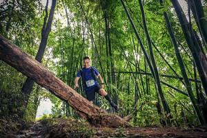 BIB: 1518
                            <button type="button" onclick="openModal(15933446)" class="btn btn-primary btn-sm float-right btn-popup" data-toggle="modal" data-target=".modal-high-quality">
                        <i class="fas fa-shopping-cart"></i> Add to Cart
                    </button>
                                            <button type="button" onclick="isThisMe(15933446, true)" class="btn btn-success btn-sm float-right btn-popup btn-isme hidden" data-toggle="tooltip" data-placement="bottom" title="นี่คือรูปของคุณใช่ไหม คลิกที่นี่เพื่อเอาเข้าอัลบั้ม">
                        <i class="fas fa-plus"></i> Add to album
                    </button>
                    <button type="button" onclick="isThisMe(15933446, false)" class="btn btn-warning btn-sm float-right btn-popup btn-isnotme hidden">
                        <i class="fas fa-ban"></i> Remove from album
                    </button>