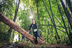 BIB: 1148
                            <button type="button" onclick="openModal(15934757)" class="btn btn-primary btn-sm float-right btn-popup" data-toggle="modal" data-target=".modal-high-quality">
                        <i class="fas fa-shopping-cart"></i> Add to Cart
                    </button>
                                            <button type="button" onclick="isThisMe(15934757, true)" class="btn btn-success btn-sm float-right btn-popup btn-isme hidden" data-toggle="tooltip" data-placement="bottom" title="นี่คือรูปของคุณใช่ไหม คลิกที่นี่เพื่อเอาเข้าอัลบั้ม">
                        <i class="fas fa-plus"></i> Add to album
                    </button>
                    <button type="button" onclick="isThisMe(15934757, false)" class="btn btn-warning btn-sm float-right btn-popup btn-isnotme hidden">
                        <i class="fas fa-ban"></i> Remove from album
                    </button>