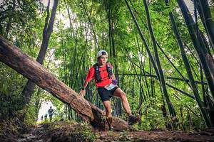 BIB: 1559
                            <button type="button" onclick="openModal(15933469)" class="btn btn-primary btn-sm float-right btn-popup" data-toggle="modal" data-target=".modal-high-quality">
                        <i class="fas fa-shopping-cart"></i> Add to Cart
                    </button>
                                            <button type="button" onclick="isThisMe(15933469, true)" class="btn btn-success btn-sm float-right btn-popup btn-isme hidden" data-toggle="tooltip" data-placement="bottom" title="นี่คือรูปของคุณใช่ไหม คลิกที่นี่เพื่อเอาเข้าอัลบั้ม">
                        <i class="fas fa-plus"></i> Add to album
                    </button>
                    <button type="button" onclick="isThisMe(15933469, false)" class="btn btn-warning btn-sm float-right btn-popup btn-isnotme hidden">
                        <i class="fas fa-ban"></i> Remove from album
                    </button>