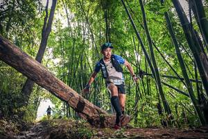 BIB: 
                            <button type="button" onclick="openModal(15933367)" class="btn btn-primary btn-sm float-right btn-popup" data-toggle="modal" data-target=".modal-high-quality">
                        <i class="fas fa-shopping-cart"></i> Add to Cart
                    </button>
                                            <button type="button" onclick="isThisMe(15933367, true)" class="btn btn-success btn-sm float-right btn-popup btn-isme hidden" data-toggle="tooltip" data-placement="bottom" title="นี่คือรูปของคุณใช่ไหม คลิกที่นี่เพื่อเอาเข้าอัลบั้ม">
                        <i class="fas fa-plus"></i> Add to album
                    </button>
                    <button type="button" onclick="isThisMe(15933367, false)" class="btn btn-warning btn-sm float-right btn-popup btn-isnotme hidden">
                        <i class="fas fa-ban"></i> Remove from album
                    </button>