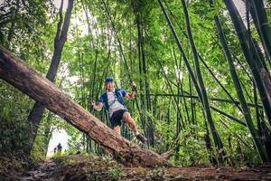 BIB: 1478
                            <button type="button" onclick="openModal(15933632)" class="btn btn-primary btn-sm float-right btn-popup" data-toggle="modal" data-target=".modal-high-quality">
                        <i class="fas fa-shopping-cart"></i> Add to Cart
                    </button>
                                            <button type="button" onclick="isThisMe(15933632, true)" class="btn btn-success btn-sm float-right btn-popup btn-isme hidden" data-toggle="tooltip" data-placement="bottom" title="นี่คือรูปของคุณใช่ไหม คลิกที่นี่เพื่อเอาเข้าอัลบั้ม">
                        <i class="fas fa-plus"></i> Add to album
                    </button>
                    <button type="button" onclick="isThisMe(15933632, false)" class="btn btn-warning btn-sm float-right btn-popup btn-isnotme hidden">
                        <i class="fas fa-ban"></i> Remove from album
                    </button>