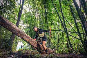 BIB: 
                            <button type="button" onclick="openModal(15934882)" class="btn btn-primary btn-sm float-right btn-popup" data-toggle="modal" data-target=".modal-high-quality">
                        <i class="fas fa-shopping-cart"></i> Add to Cart
                    </button>
                                            <button type="button" onclick="isThisMe(15934882, true)" class="btn btn-success btn-sm float-right btn-popup btn-isme hidden" data-toggle="tooltip" data-placement="bottom" title="นี่คือรูปของคุณใช่ไหม คลิกที่นี่เพื่อเอาเข้าอัลบั้ม">
                        <i class="fas fa-plus"></i> Add to album
                    </button>
                    <button type="button" onclick="isThisMe(15934882, false)" class="btn btn-warning btn-sm float-right btn-popup btn-isnotme hidden">
                        <i class="fas fa-ban"></i> Remove from album
                    </button>